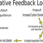 Negative feedback loop diagram