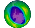 The Antarctic Ozone Hole: Looking for the First Signs of Recovery
