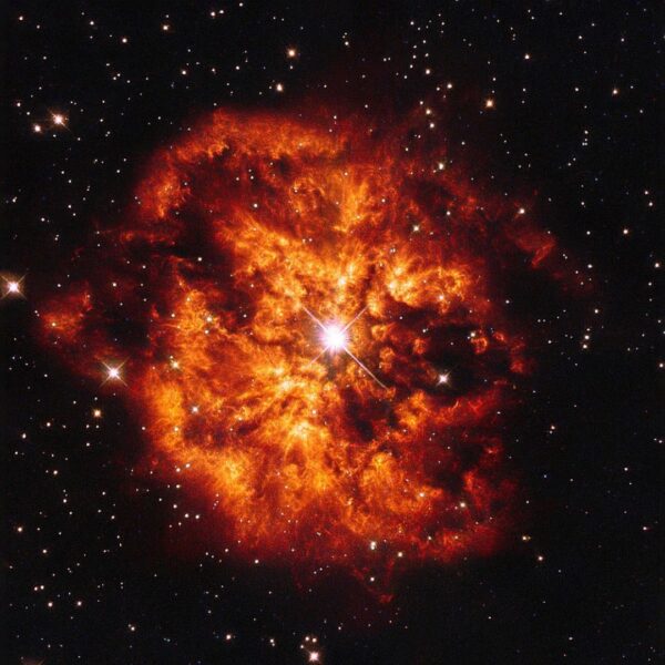 The spectacular cosmic pairing of the star Hen 2-427 — more commonly known as WR 124 — and the nebula M1-67 which surrounds it.